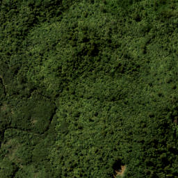 Satellite imagery of RUAOTUWHENUA NO 2 SO 66200, NZ