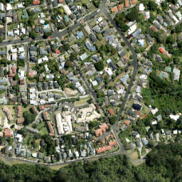 Satellite imagery of Te Whau Point, NZ
