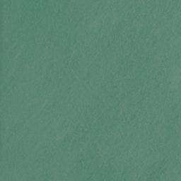 Satellite imagery of Mataitai Point, NZ