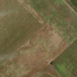 Satellite imagery of OLAV, AR