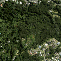 Satellite imagery of Opou Point, NZ