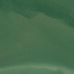 Satellite imagery of Te Whau Point, NZ