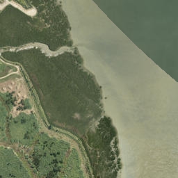 Satellite imagery of Pouto Point, NZ