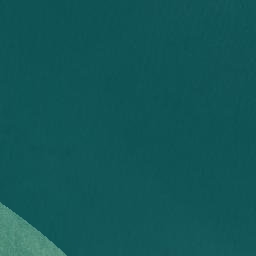 Satellite imagery of Papanui Point, NZ