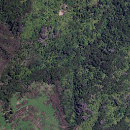 Satellite imagery of Te Ororoa Point, NZ