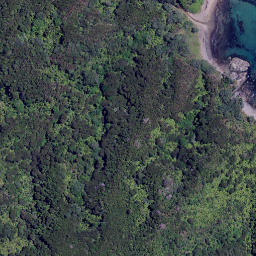Satellite imagery of Te Ororoa Point, NZ