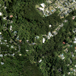 Satellite imagery of Opou Point, NZ