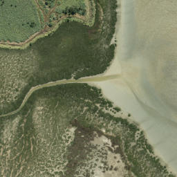 Satellite imagery of Pouto Point, NZ