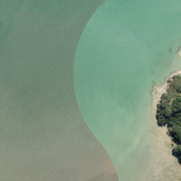 Satellite imagery of Kahuru Point, NZ