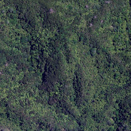 Satellite imagery of Te Ororoa Point, NZ