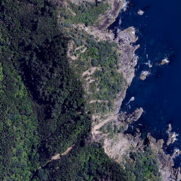 Satellite imagery of Te Ororoa Point, NZ