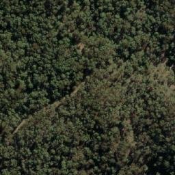 Satellite imagery of Wild Dog Rocks, AU