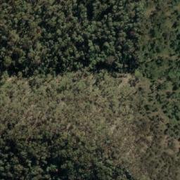 Satellite imagery of Wild Dog Rocks, AU