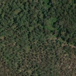 Satellite imagery of Wild Dog Rocks, AU