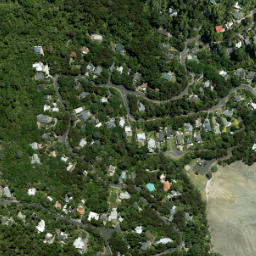 Satellite imagery of Opou Point, NZ