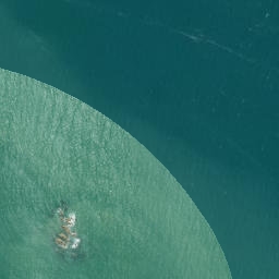 Satellite imagery of Puatiti Point, NZ