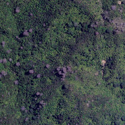 Satellite imagery of Te Ororoa Point, NZ