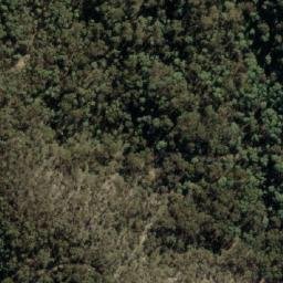 Satellite imagery of Wild Dog Rocks, AU