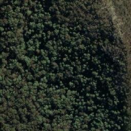 Satellite imagery of Wild Dog Rocks, AU
