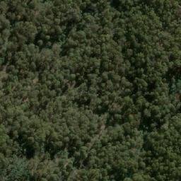Satellite imagery of Wombat Hill, AU