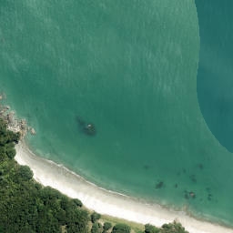 Satellite imagery of Puatiti Point, NZ