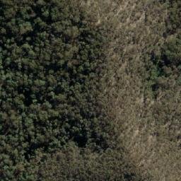 Satellite imagery of Wild Dog Rocks, AU