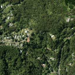 Satellite imagery of Laingholm Point, NZ