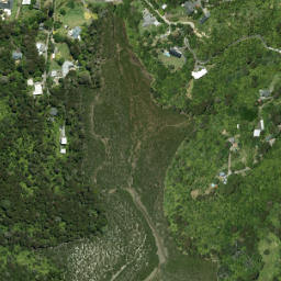 Satellite imagery of Laingholm Point, NZ