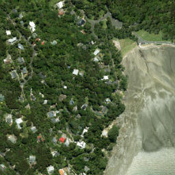 Satellite imagery of Shag Point, NZ
