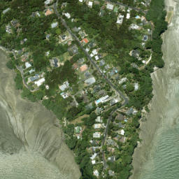 Satellite imagery of Shag Point, NZ