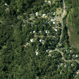 Satellite imagery of Laingholm Point, NZ