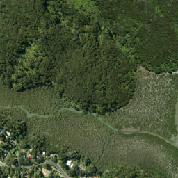 Satellite imagery of Laingholm Point, NZ
