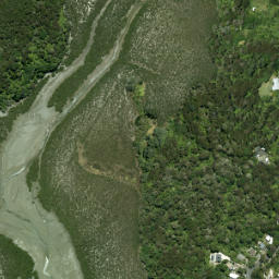 Satellite imagery of Laingholm Point, NZ