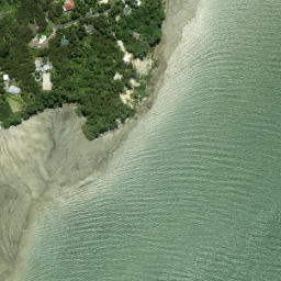 Satellite imagery of Shag Point, NZ