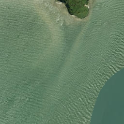 Satellite imagery of Shag Point, NZ