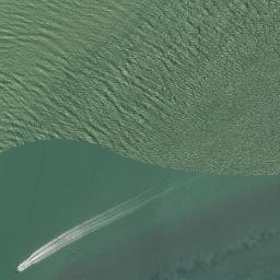 Satellite imagery of Shag Point, NZ