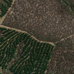 Satellite imagery of Black Jack Ridge, AU