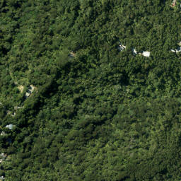 Satellite imagery of Laingholm Point, NZ