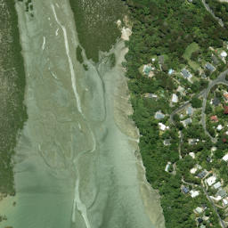 Satellite imagery of Laingholm Point, NZ