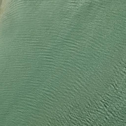 Satellite imagery of Shag Point, NZ