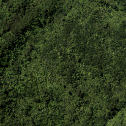 Satellite imagery of Caven Point, NZ