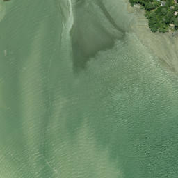 Satellite imagery of Tokoroa Point, NZ
