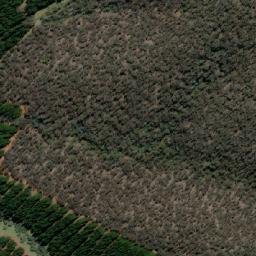 Satellite imagery of Black Jack Ridge, AU