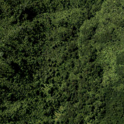 Satellite imagery of Caven Point, NZ