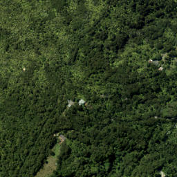 Satellite imagery of Caven Point, NZ