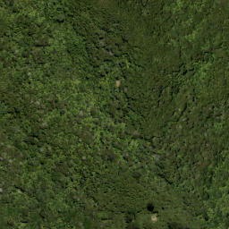Satellite imagery of 688 HIKURANGI, NZ