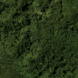 Satellite imagery of Caven Point, NZ