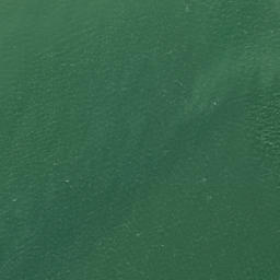 Satellite imagery of Tokoroa Point, NZ