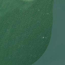 Satellite imagery of Tokoroa Point, NZ