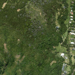Satellite imagery of Cowan Point, NZ